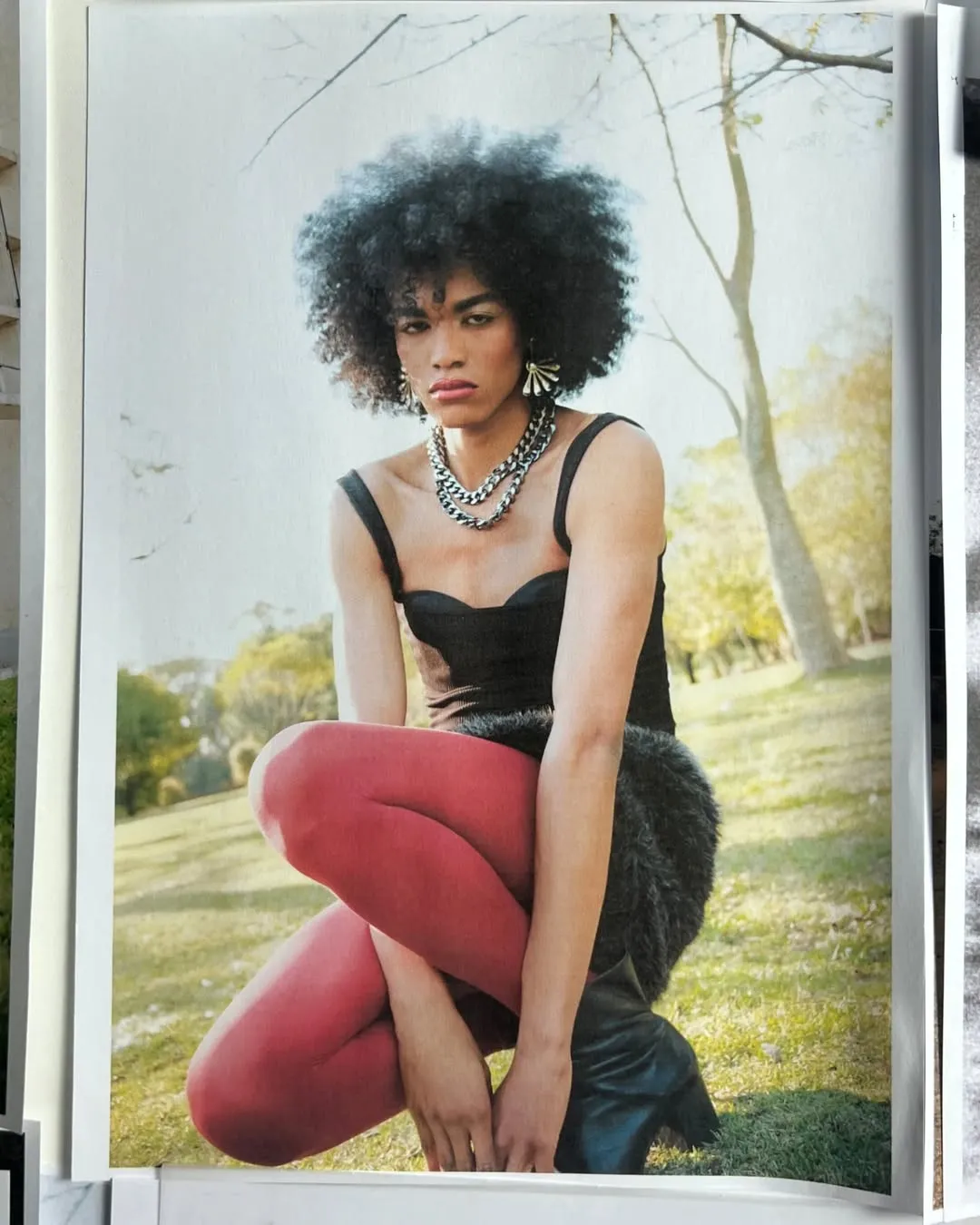 Acervo Pessoal image 2