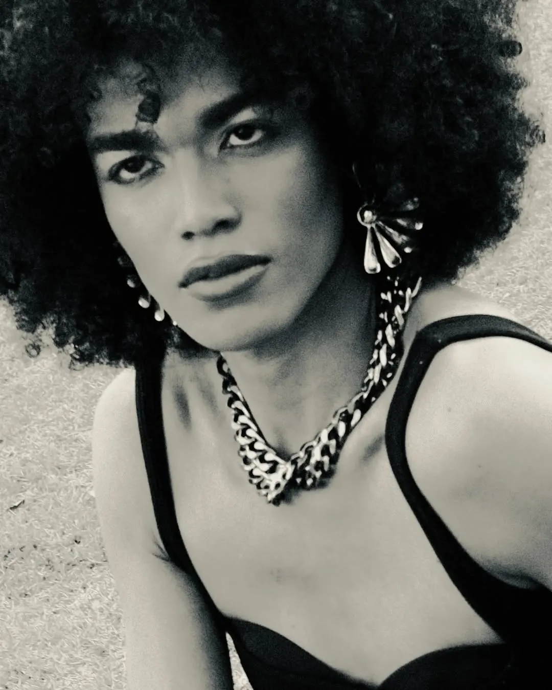 Acervo Pessoal image 3